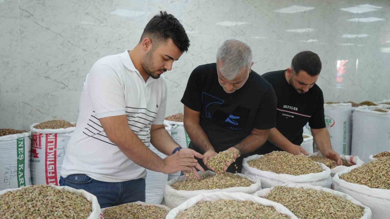Antep Fıstığına İthalat İzni Çıkıcınca Fiyatlar Ve Satışlar Düştü