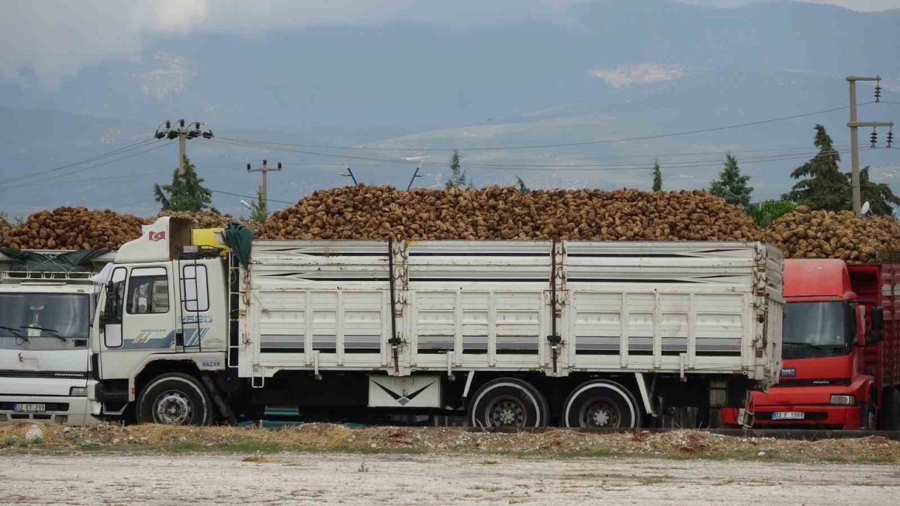 Burdur’da Yaklaşık 700 Bin Ton Şeker Pancarı İşlenecek