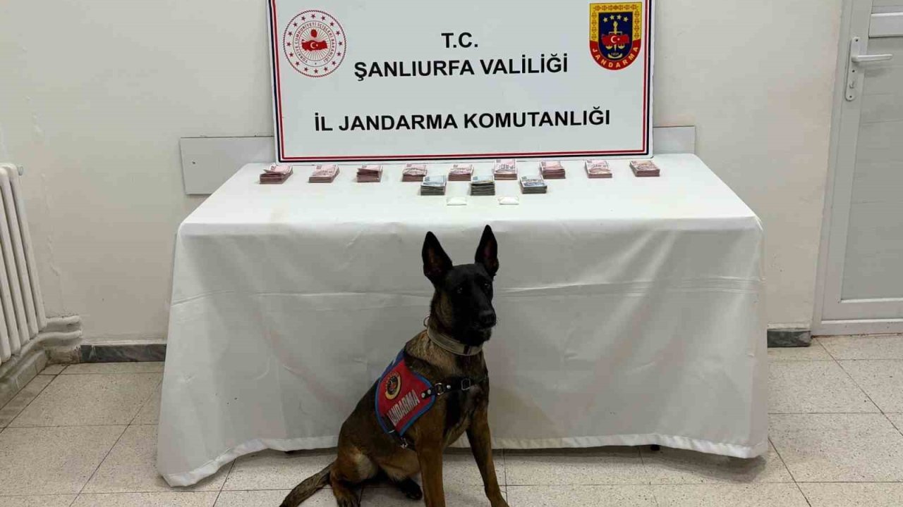 Şanlıurfa’da 210 Bin Tl İle Uyuşturucu Madde Ele Geçirildi