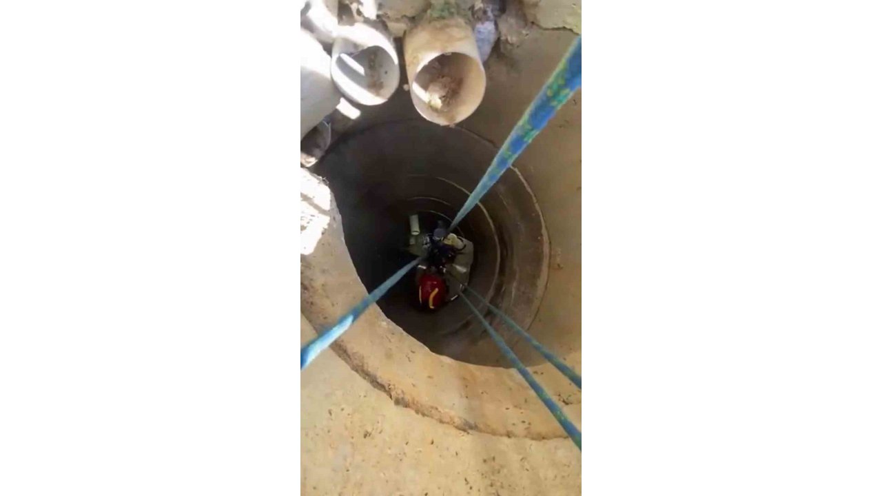 Tuzla’da 10 Metrelik Kuyuya Düşen Köpek Operasyonla Kurtarıldı