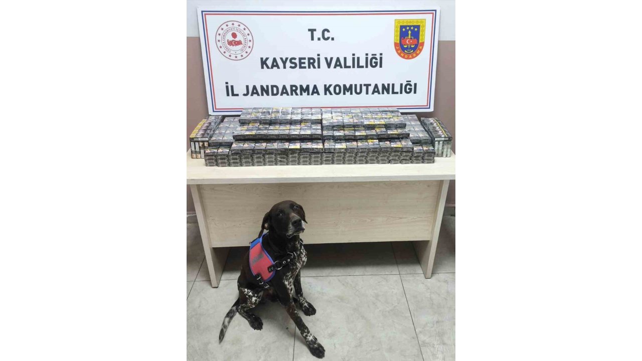 Kimlik Kontrolü İçin Durdurulan 2 Tırdan 560 Paket Kaçak Sigara Ele Geçirildi