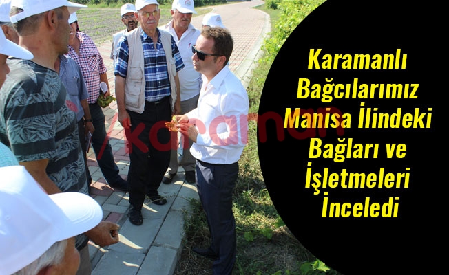 Karamanlı Bağcılarımız Manisa İlindeki Bağları ve İşletmeleri İnceledi