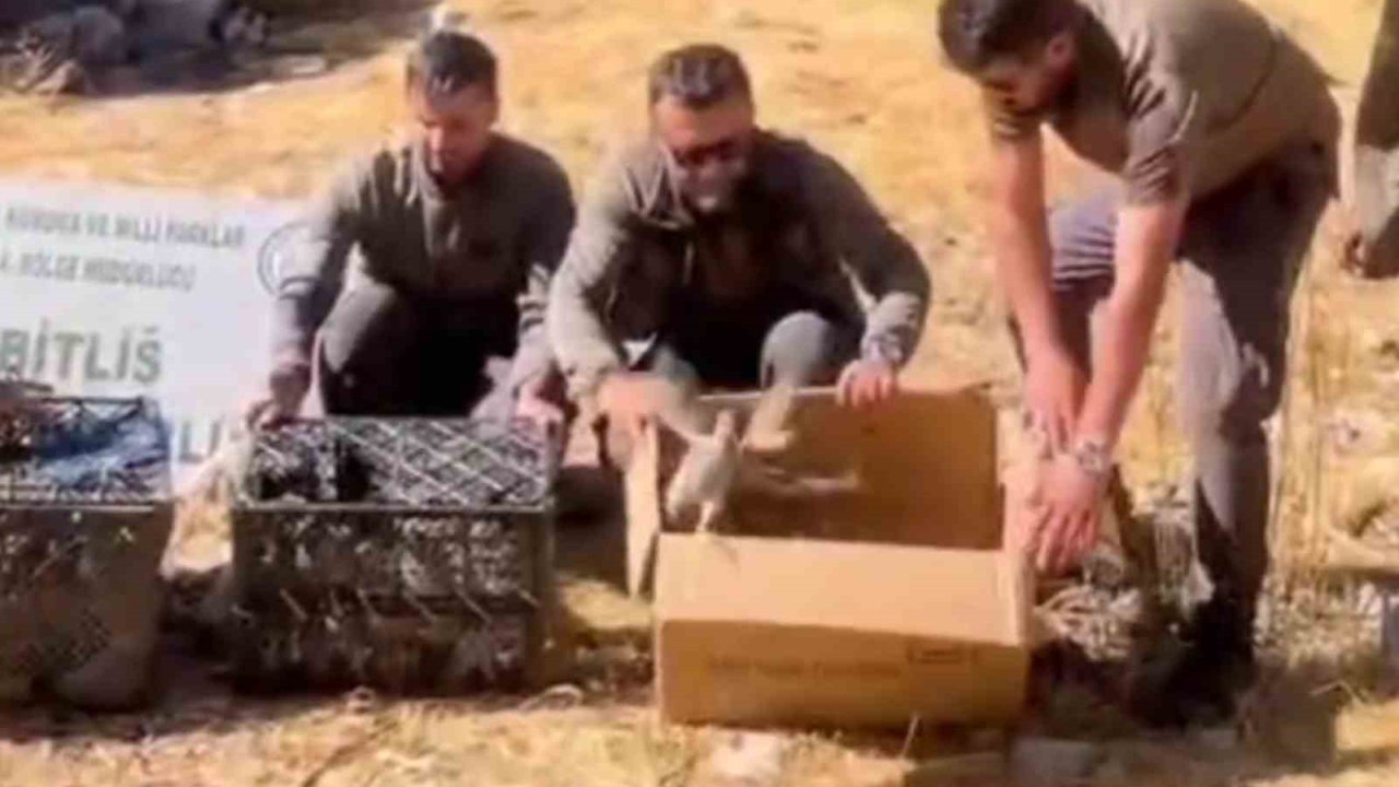Bitlis’te Keklik Ticaretine Geçit Verilmedi