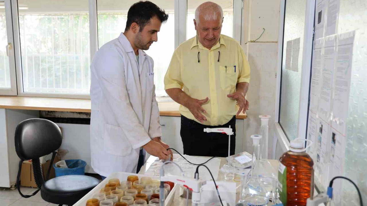 Akdeniz’in Bozulan Toprak Sağlığı Mercek Altına Alındı