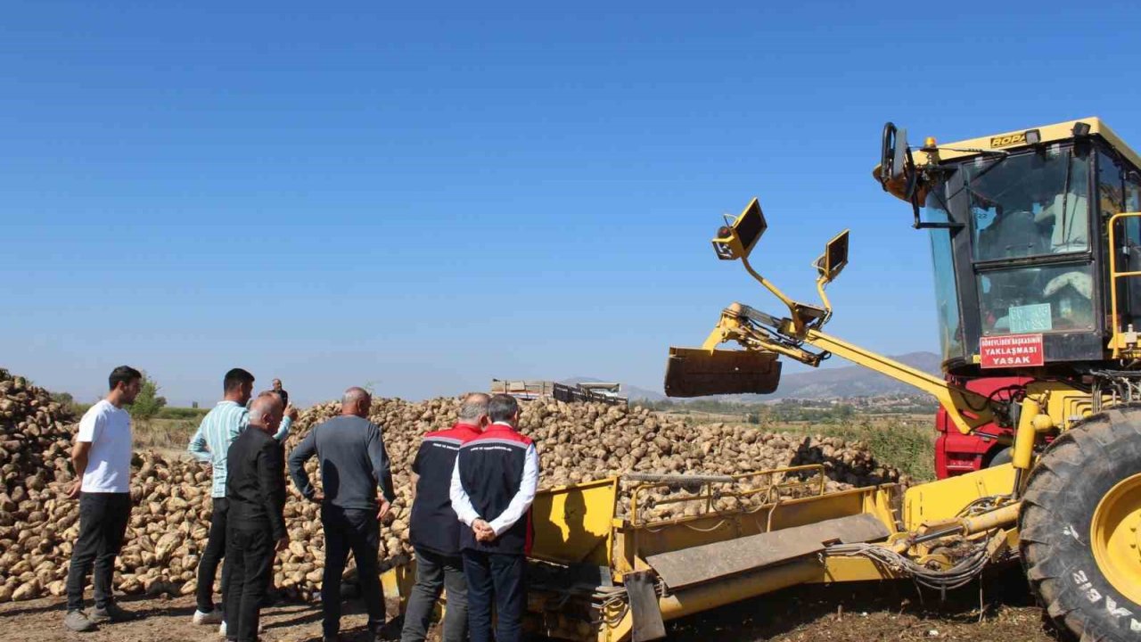 Pazar Bölgesinde 450 Bin Tonluk Pancar Hasadı Hedefleniyor