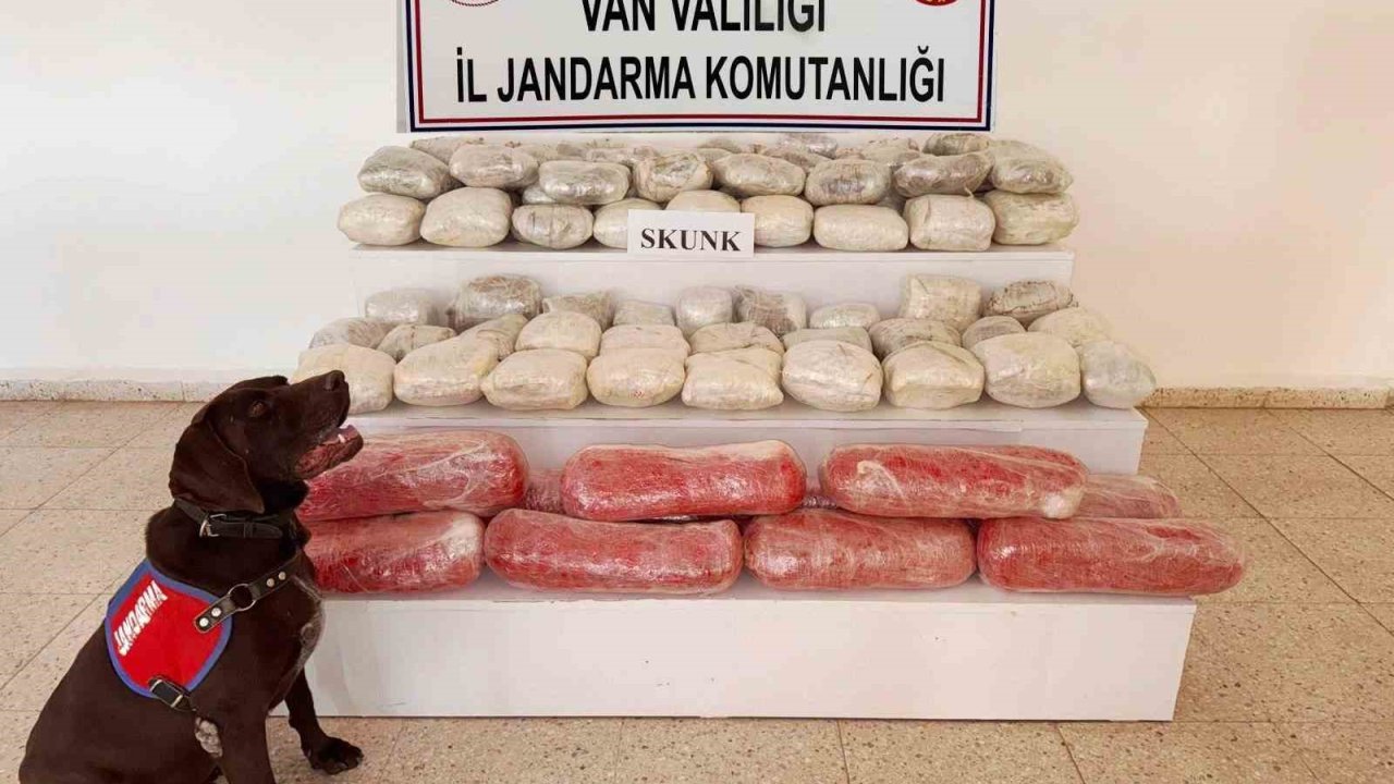 Van’da 61,9 Kilogram Skunk Ele Geçirildi