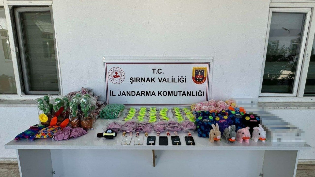 Jandarmadan Kaçakçılık Operasyonu: 98 Şüpheli Hakkında Yasal İşlem Yapıldı