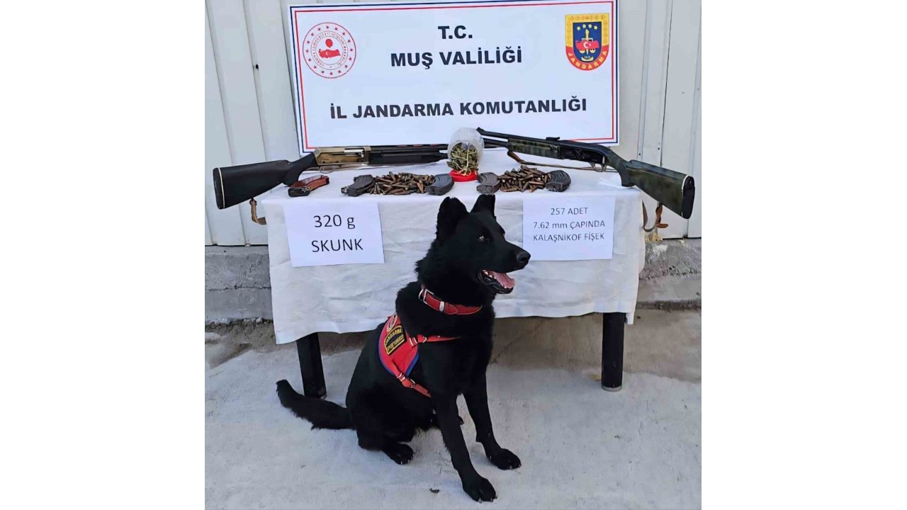 Muş’ta Jandarmadan Uyuşturucu Ve Silah Operasyonu