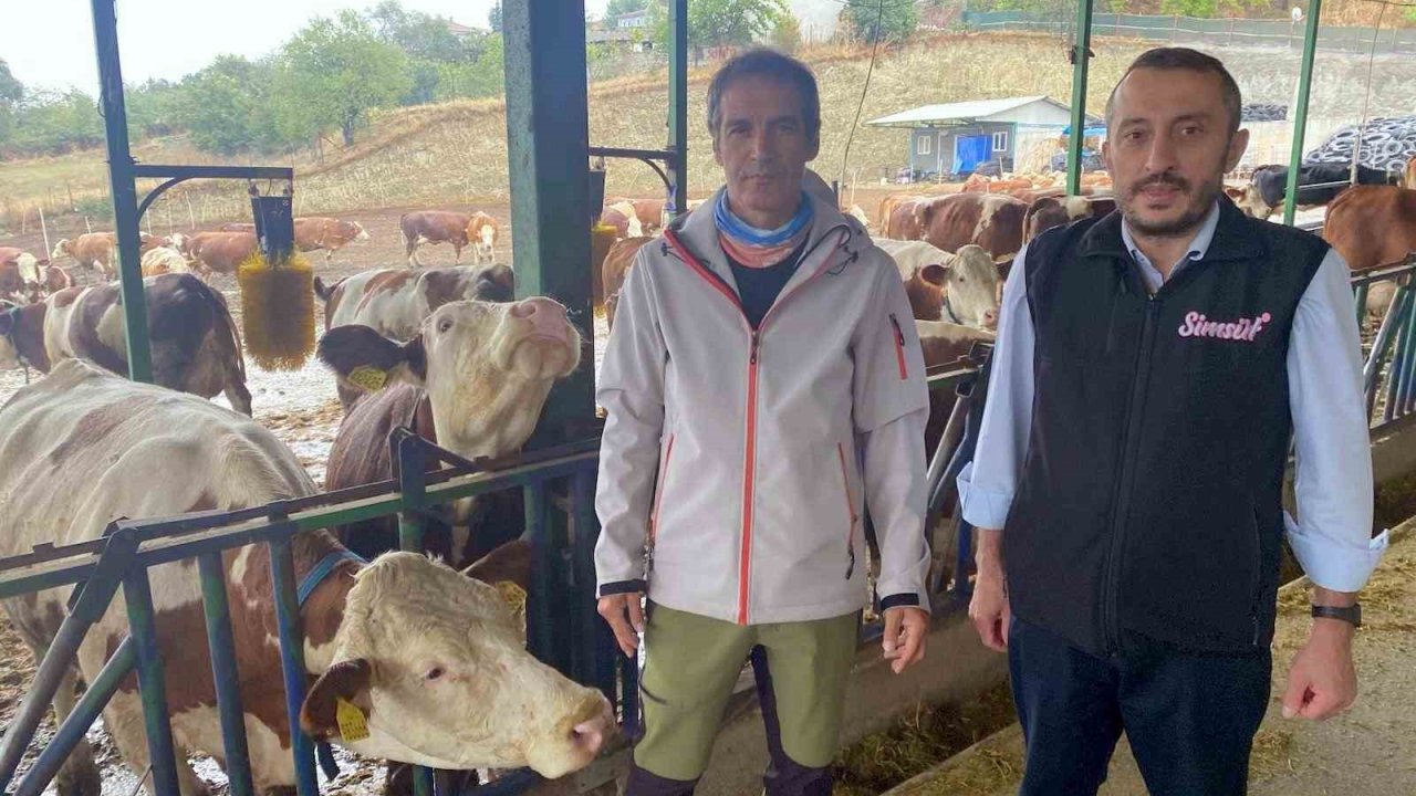 Yapay Zeka Süt Hayvancılığında Çığır Açtı