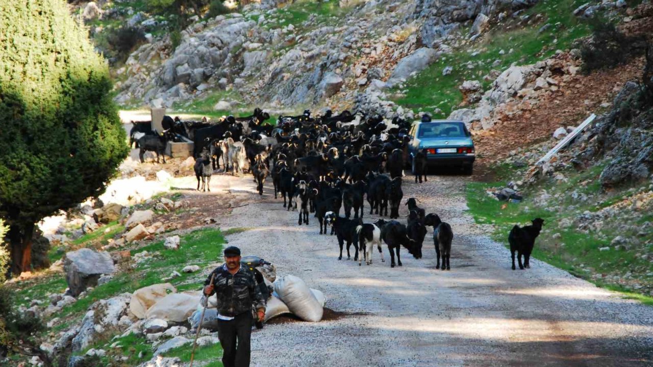 Antalya’da Yörüklerin 4 Aydır Kaldıkları Yaylalardan Dönüşleri Başladı