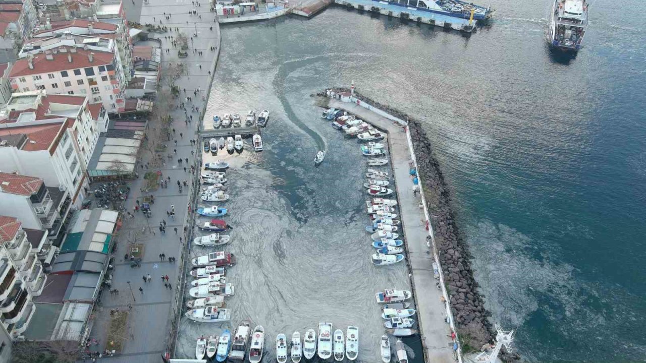 Arıtma Sistemlerinin Geliştirilmesi Hem Müsilajın Çözümüne Hem Tarıma Katkı Sağlayacak
