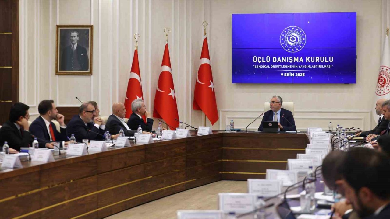 Üçlü Danışma Kurulu,