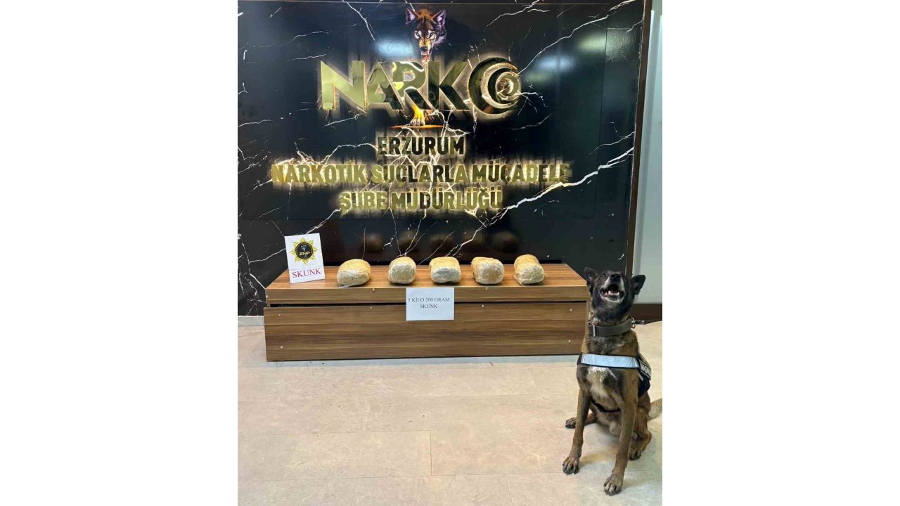 Erzurum’da 5 Kilo 200 Gram Skunk Maddesi Ele Geçirildi