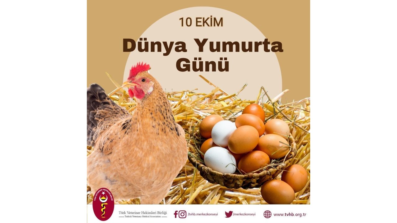 Türk Veteriner Hekimleri Birliği Başkanı Eroğlu: