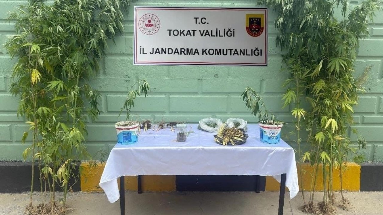 Tokat’ta Jandarma Ekipleri Tarafından 2 Ayda 56 Kişi Hakkında Uyuşturucuya Bağlı Suçlarından İşlem Yapıldı