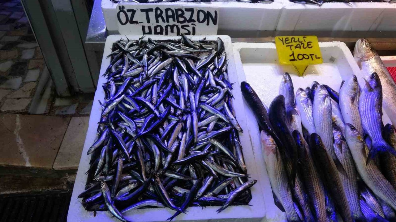 Balıkçılardan