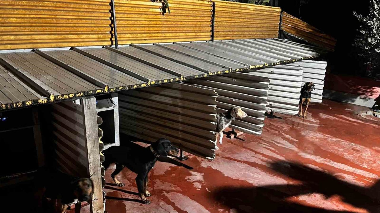 Tepkiye Neden Olan Görüntüler Sonrası Emniyet Harekete Geçti