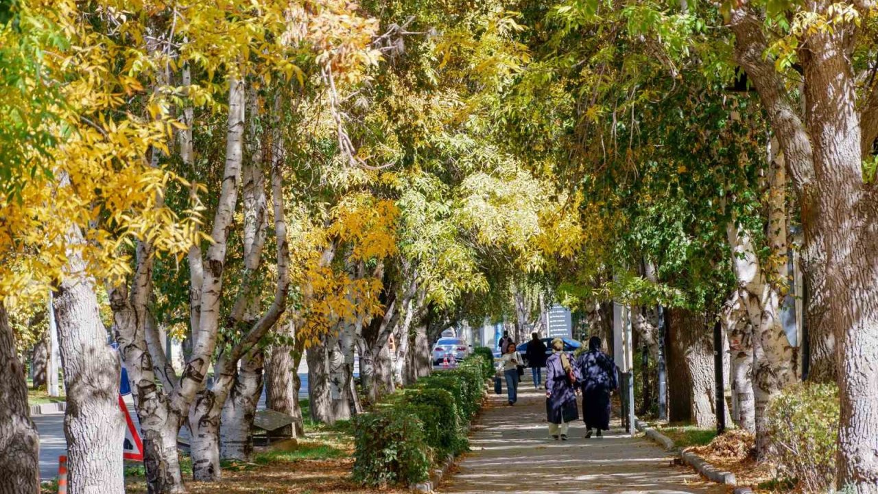 Meteorolojiden Kuvvetli Rüzgar Ve Kar Uyarısı