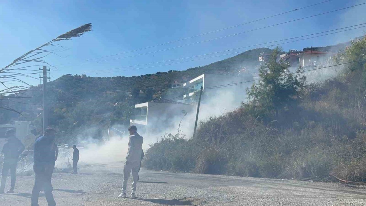 Alanya’da Yerleşim Alanlarını Tehdit Eden Yangın Korkuttu