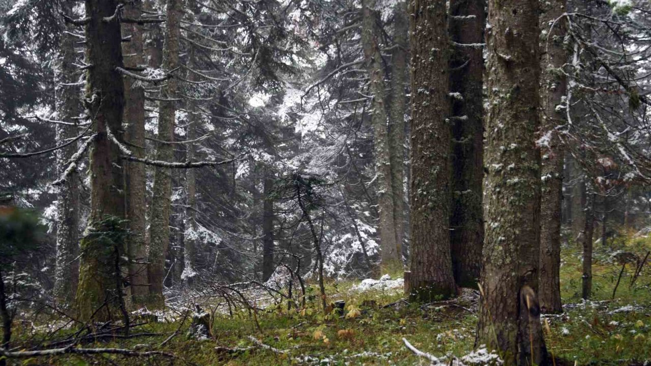 Ilgaz Dağı’nda Kar Yağışı Etkili Oldu: Ortaya Mest Eden Görüntüler Çıktı
