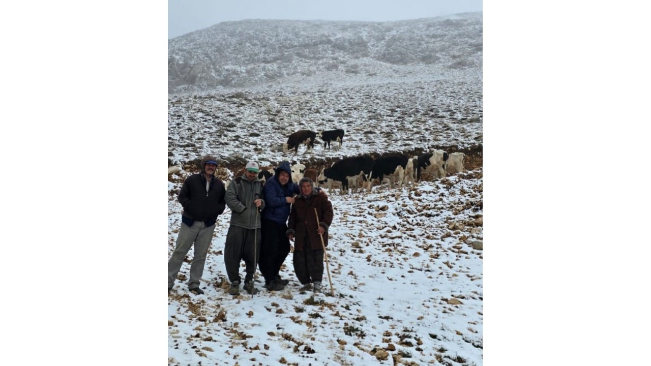 Aniden Kar Bastırınca Yaylada Mahsur Kalan Kadın Kurtarıldı