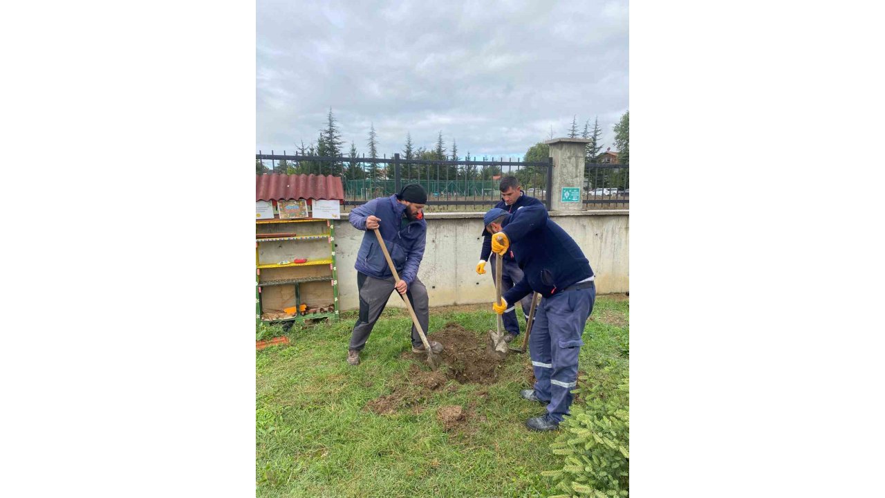 Orman Yangınları Sonrası Yola Çıktı, 71. Fidanını Bolu’da Dikti