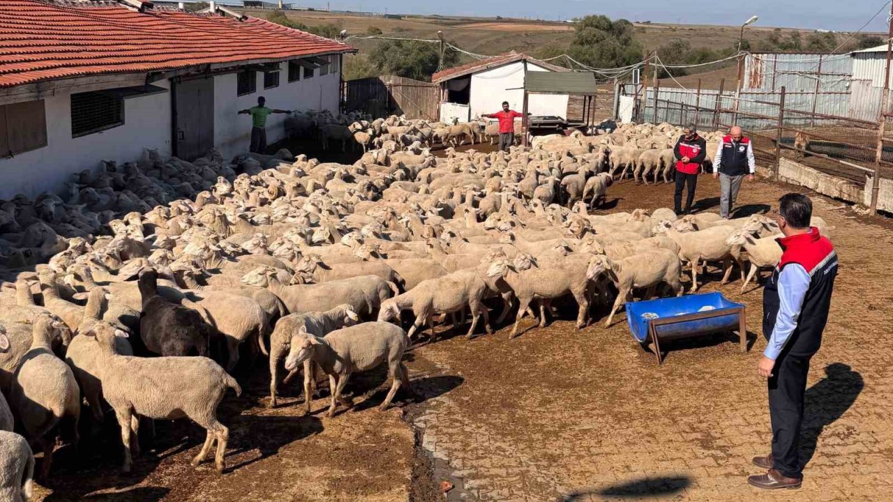 Tarım İl Müdürü Aksoy Üreticinin Sorunlarını Yerinde Dinledi