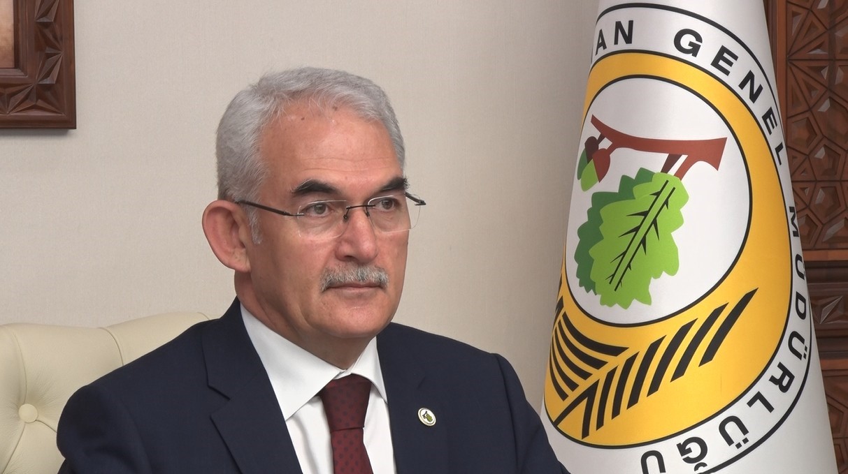 Orman Yangınlarıyla Mücadelede Küresel Strateji Türkiye’den Çıkacak