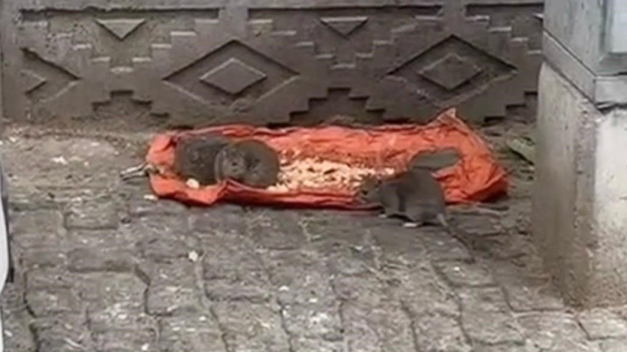 Tekirdağ’da Vatandaşlar Tedirgin: