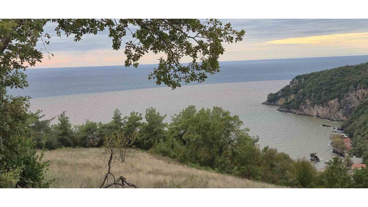 Denizin Rengi Değişti, Plaja Tıbbi Atıklar Vurdu