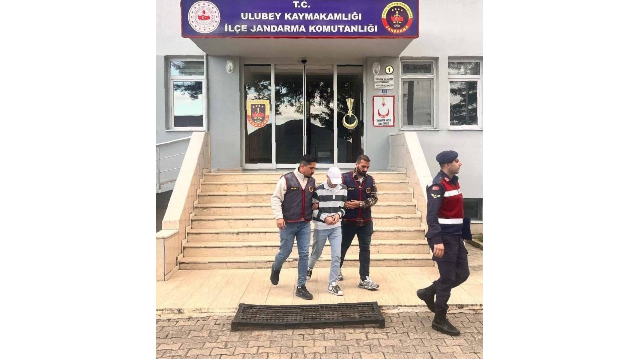 Ordu’da Evden Fındık Çalan Şüpheli Tutuklandı
