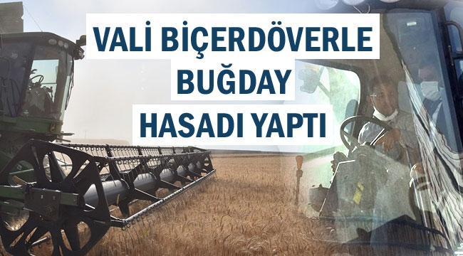 VALİ BİÇERDÖVERLE BUĞDAY HASADI YAPTI