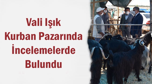 Vali Işık Kurban Pazarında İncelemelerde Bulundu