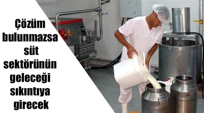 Çözüm bulunmazsa süt sektörünün geleceği sıkıntıya girecek
