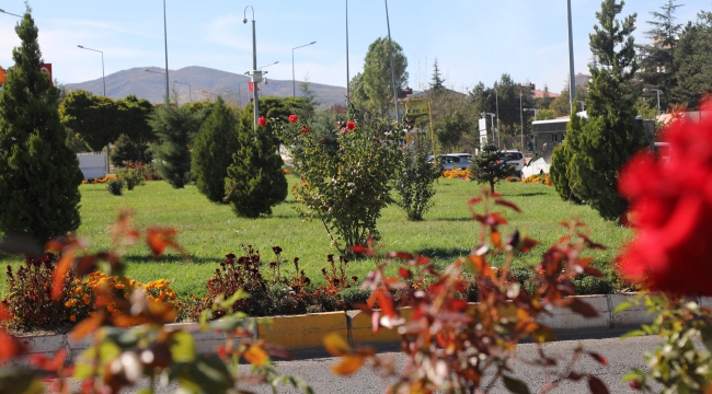 150 BİN BİTKİ TOPRAKLA BULUŞTU