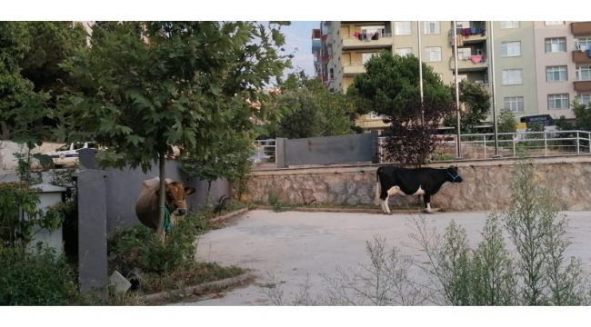 EKİPLERİMİZ ÇALIŞMALARINI SÜRDÜRÜYOR