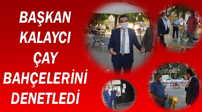 BAŞKAN KALAYCI ÇAY BAHÇELERİNİ DENETLEDİ