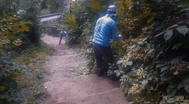 Yabanı otlar temizlendi