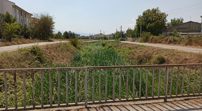 KARACA DERESİ TEMİZLENİYOR