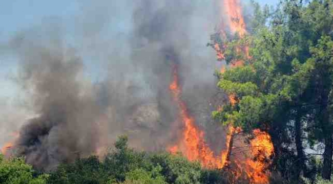 BÜYÜKŞEHİR İTFAİYESİNDEN YANGINA ANINDA MÜDAHALE