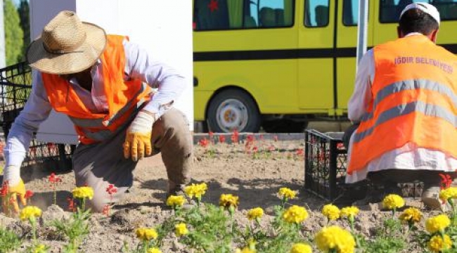 Iğdır Çiçek Açıyor