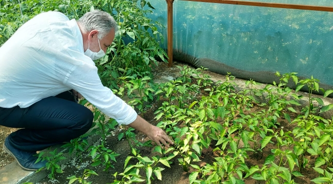 YÖRESEL ÜRETİM TEŞVİK VE FAALİYETLERİMİZ DEVAM EDİYOR