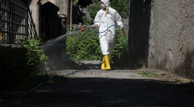 BÖCEK İLAÇLAMA ÇALIŞMALARIMIZ BAŞLADI