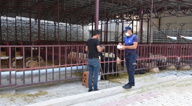 MEZBAHANE VE HAYVAN PAZARINDA TEDBİRLER ÜST SEVİYEYE ÇIKARILDI