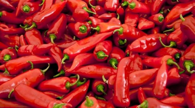 Telefonunuz biberlerin ne kadar acı olduğunu söyleyecek