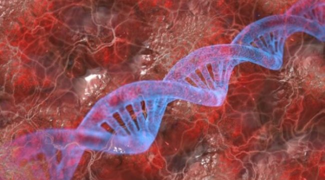 KML (Kronik Miyeloid Lösemi) hastalığı nedir? Tedavi ve tanı süreçleri nelerdir?