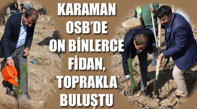 OSB SAHALARI AĞAÇLANDIRILDI
