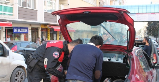 Yunuslar uyuşturucu tacirlerine göz açtırmıyor