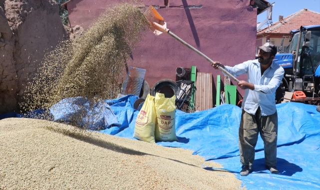 Yozgat'ta yeşil mercimekten 20 bin ton rekolte bekleniyor