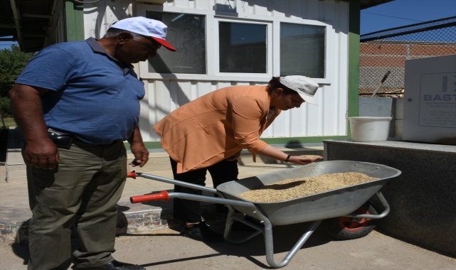 TMO Kırşehir Şubesi 120 bin ton arpa ve buğday aldı